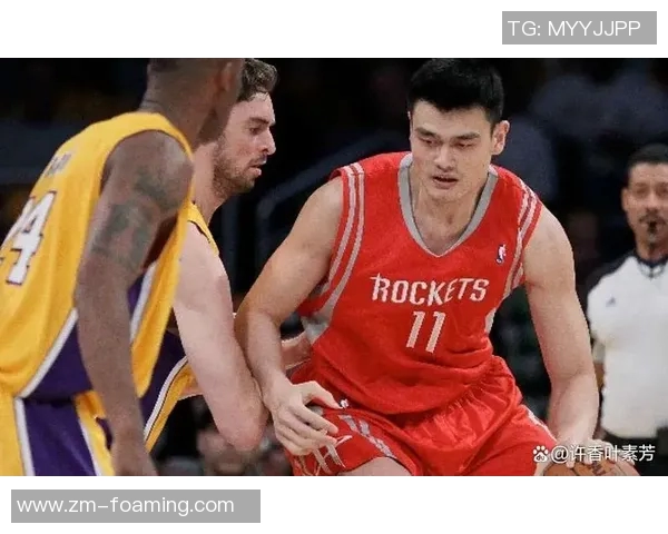 篮球明星阿的传奇之路与辉煌成就揭秘,探索他如何改变篮球世界的影响力与魅力